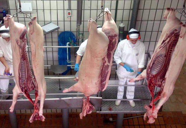 Vietnã habilita uma planta de suínos e quatro de aves para exportação de carne brasileira